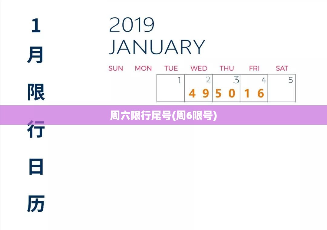 周六限行尾号(周6限号)