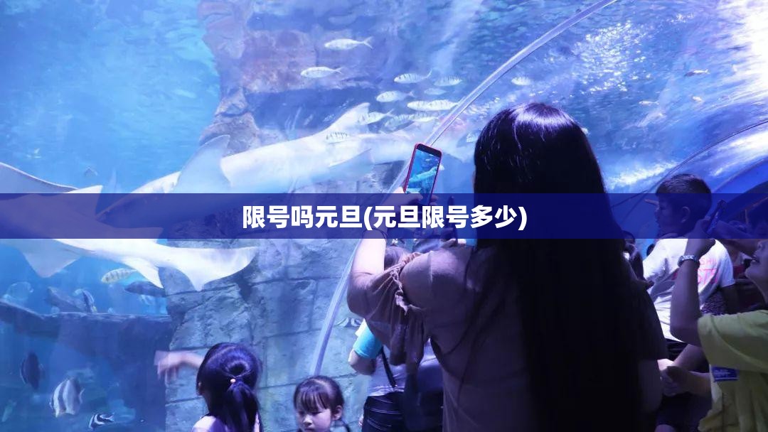 限号吗元旦(元旦限号多少)