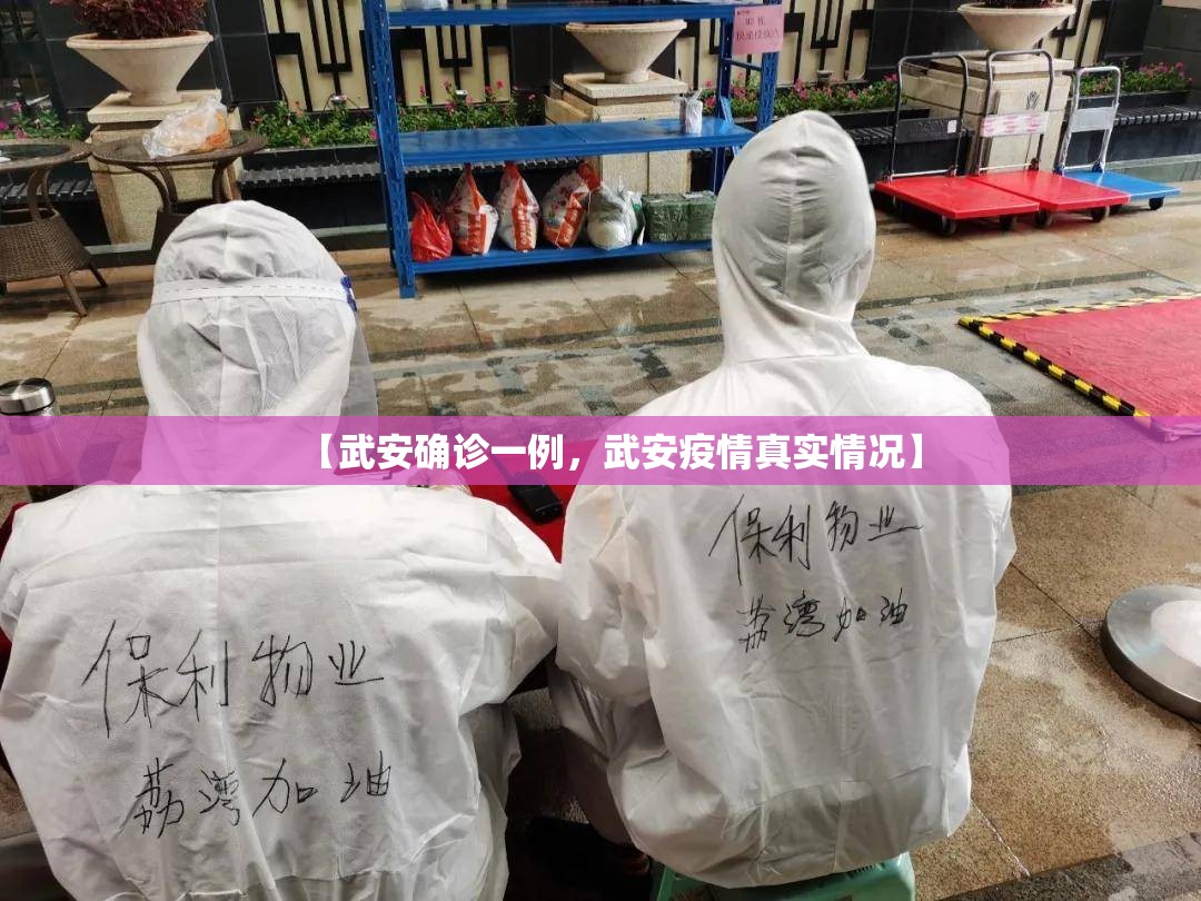 【武安确诊一例,武安疫情真实情况】 【武安确诊一例,武安疫情真实情况】