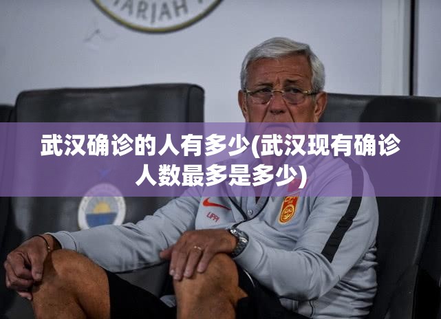 武汉确诊的人有多少(武汉现有确诊人数最多是多少)
