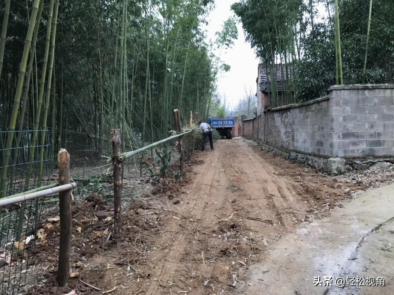 河南确诊一人/河南确证一例