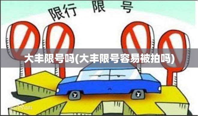 大丰限号吗(大丰限号容易被拍吗)