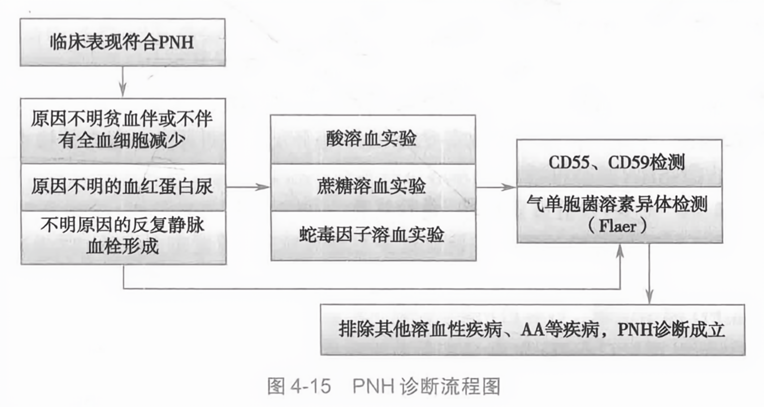 pnh确诊指标/pnh筛查试验和确诊试验