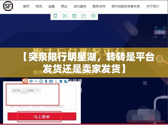 【突泉限行明星湖，转转是平台发货还是卖家发货】