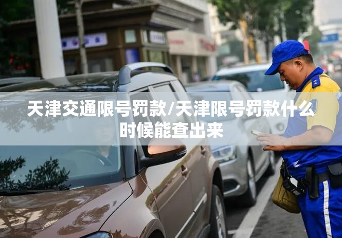 天津交通限号罚款/天津限号罚款什么时候能查出来 天津交通限号罚款/天津限号罚款什么时候能查出来