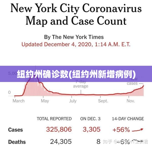 纽约州确诊数(纽约州新增病例)