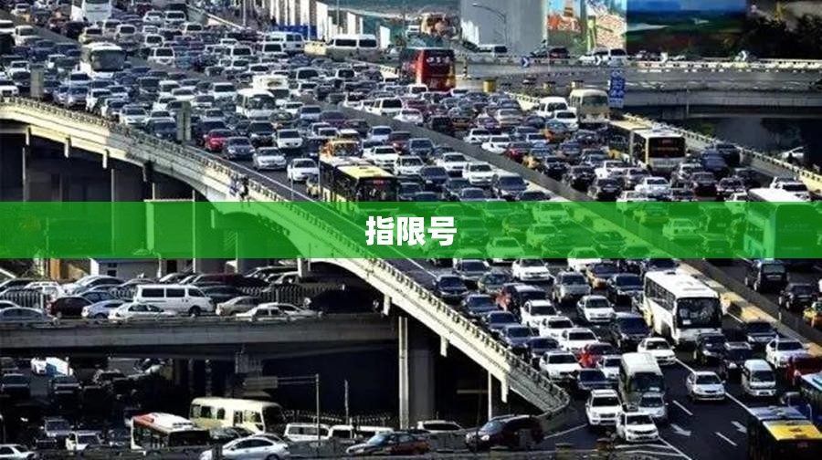 指限号