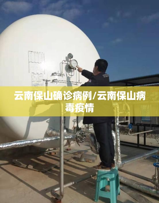 云南保山确诊病例/云南保山病毒疫情
