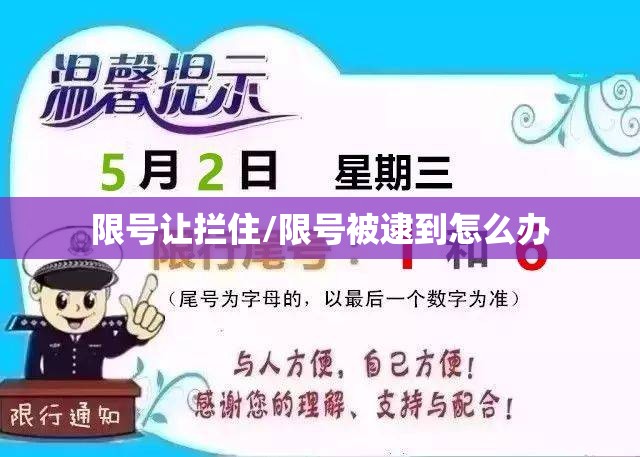 限号让拦住/限号被逮到怎么办