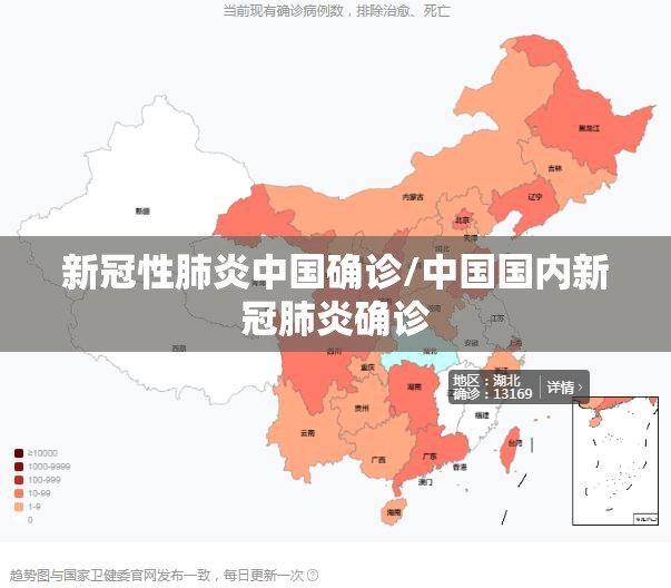 新冠性肺炎中国确诊/中国国内新冠肺炎确诊