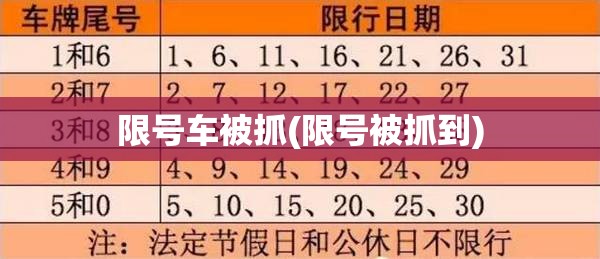 限号车被抓(限号被抓到)