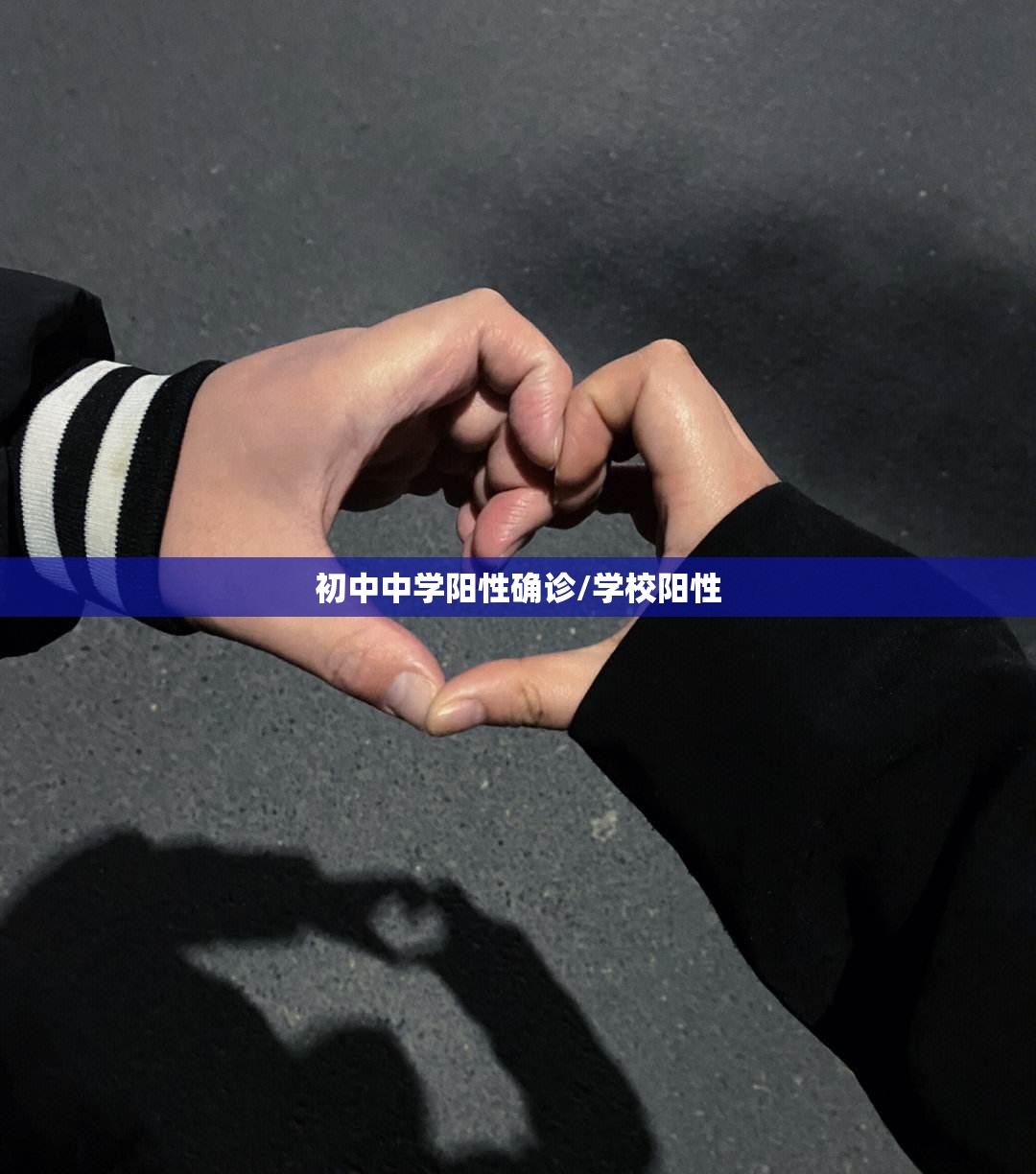 初中中学阳性确诊/学校阳性