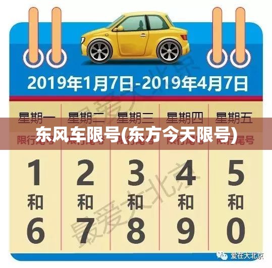 东风车限号(东方今天限号)