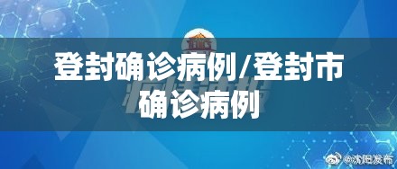 登封确诊病例/登封市确诊病例