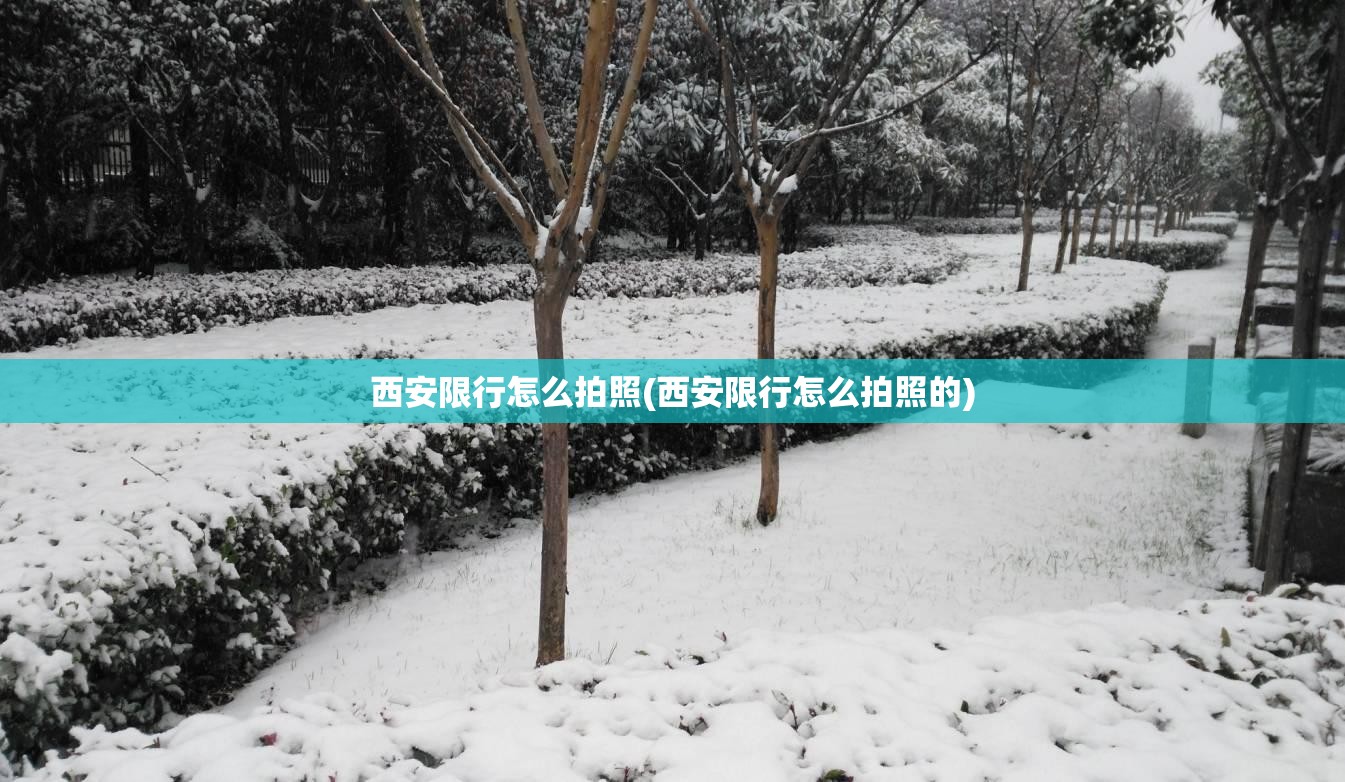 西安限行怎么拍照(西安限行怎么拍照的)