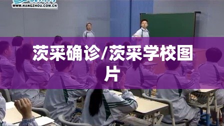 茨采确诊/茨采学校图片