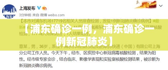 【浦东确诊一例，浦东确诊一例新冠肺炎】