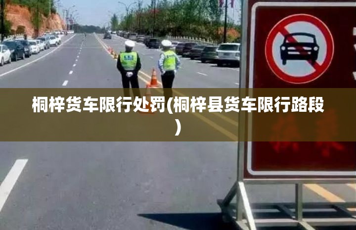 桐梓货车限行处罚(桐梓县货车限行路段)