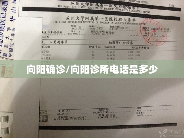 向阳确诊/向阳诊所电话是多少