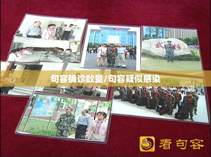 句容确诊数量/句容疑似感染