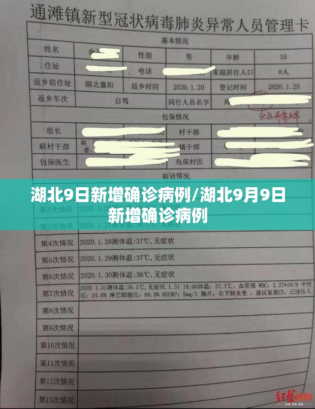 湖北9日新增确诊病例/湖北9月9日新增确诊病例